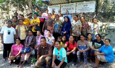 Fenai Battun, Kelompok Usaha Penghasil VCO Di Desa Battuna