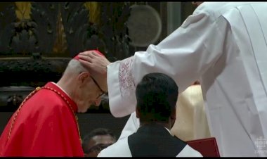 Michael Cardinal Czerny, SJ, Pemerhati Migran-Pengungsi dan Orang Terbuang