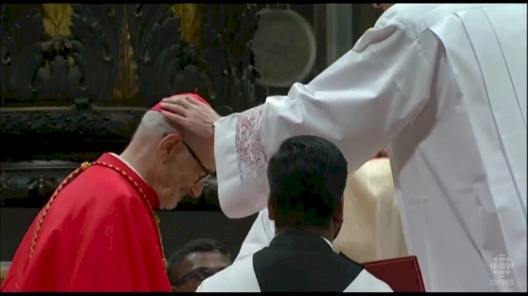 Michael Cardinal Czerny, SJ, Pemerhati Migran-Pengungsi dan Orang Terbuang