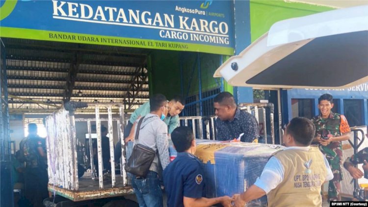 Ratusan Pekerja Migran Ilegal NTT Meninggal pada 2022